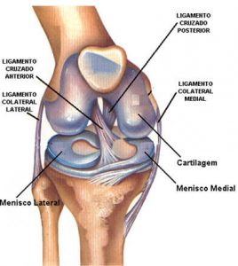 Lesão dos Ligamentos do Joelho